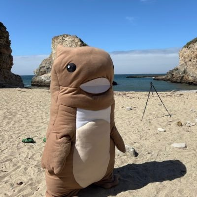 Luseless's profile picture