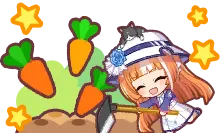 Gourmet Festival
