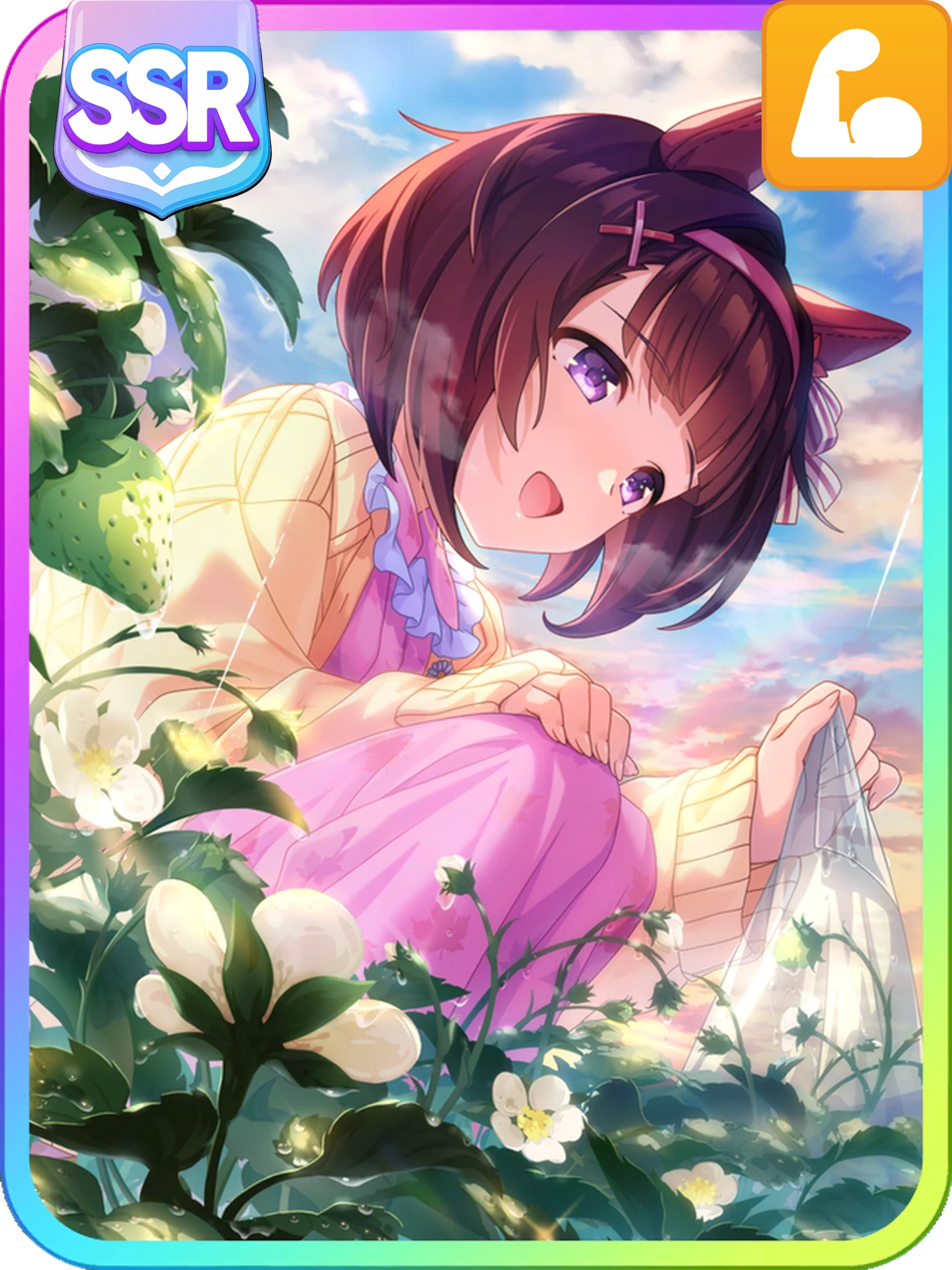 Nishino Flower Power - Strawberry Field at Sunrise - new in this selector