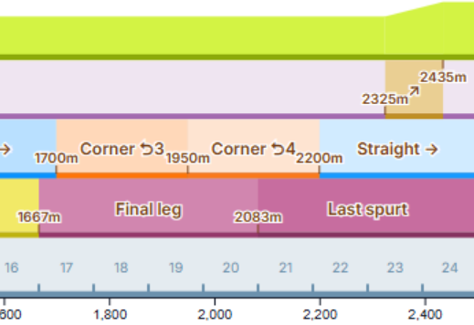 The Arima Kinen, or Nakayama 2500m, has a late-race that begins on a Straight that is not the final Straight. In this situation, Kitasan Black’s Unique will provide Acceleration.