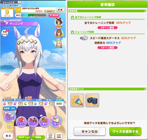 Using Training Items on a strong Summer Training